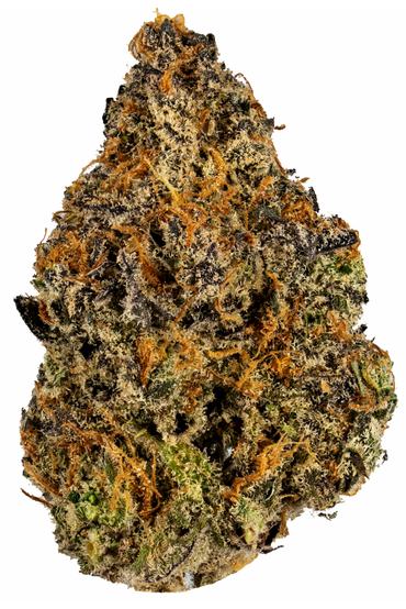 Crunch Berries - Hybrid Cannabis Strain