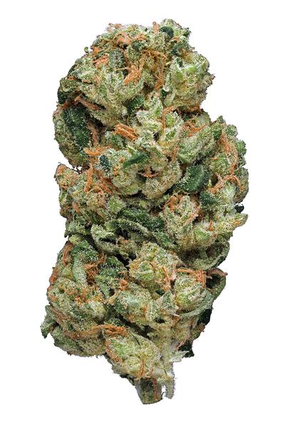 Crystal Coma - Híbrida Cannabis Strain