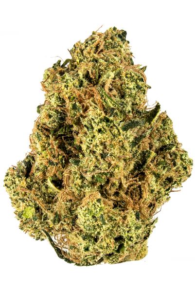 Damn Sour - Híbrida Cannabis Strain