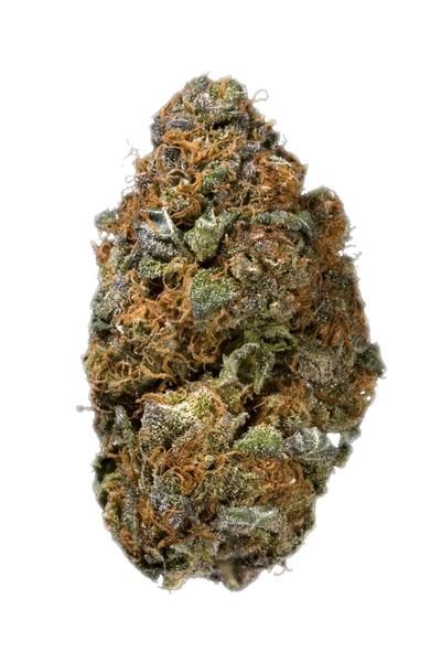 Dance World - Sativa Cannabis Strain