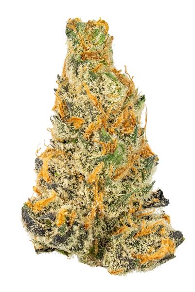 Dark Phoenix - Hybride Cannabis Strain