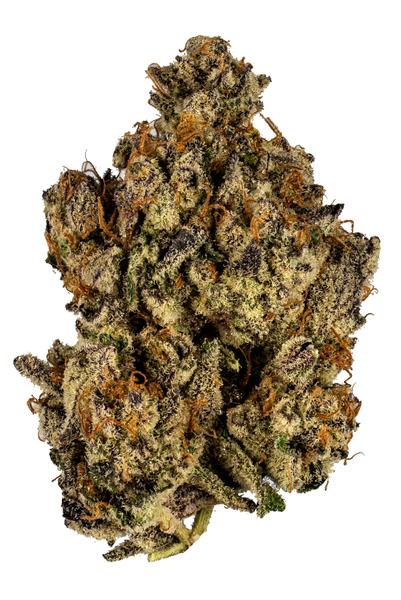 Dark Wizard - Hybrid Cannabis Strain