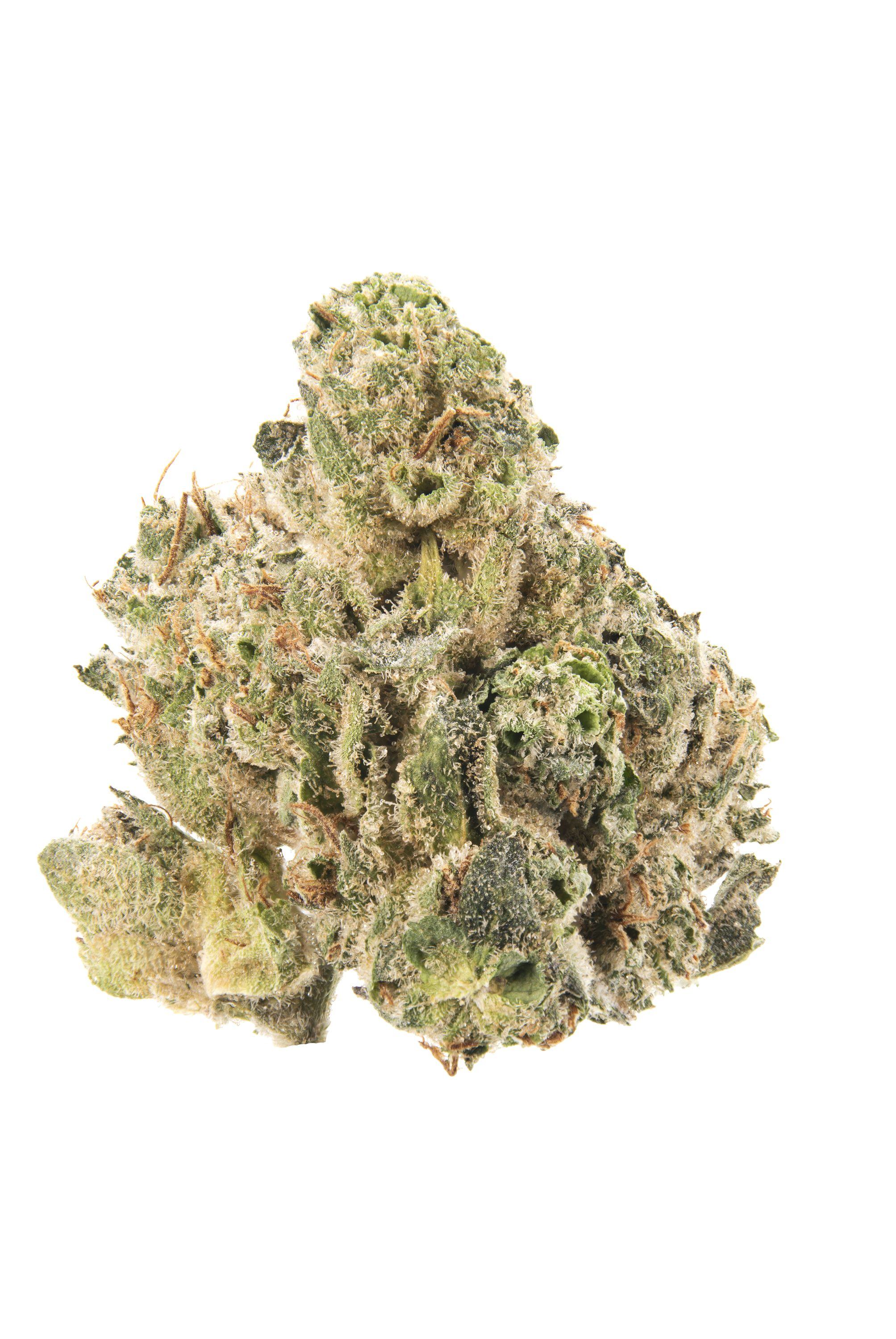 Darth Bubba Cannabis Strain Bud