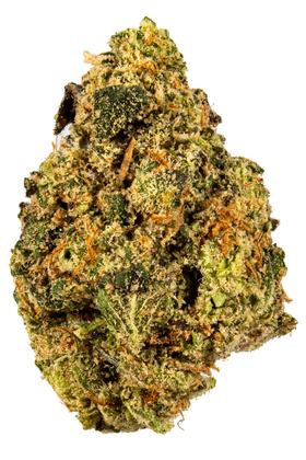 Dawgmo Cookies - Híbrida Cannabis Strain