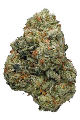 Daywrecker - Hybrid Cannabis Strain