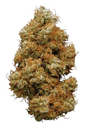 Daze - Hybrid Cannabis Strain