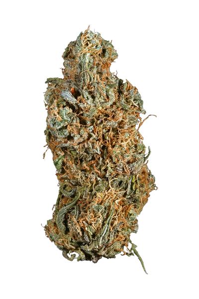 Deadly J - Hybrid Cannabis Strain