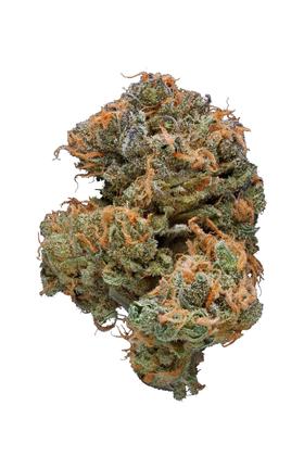 Deep Cheese - Híbrida Cannabis Strain