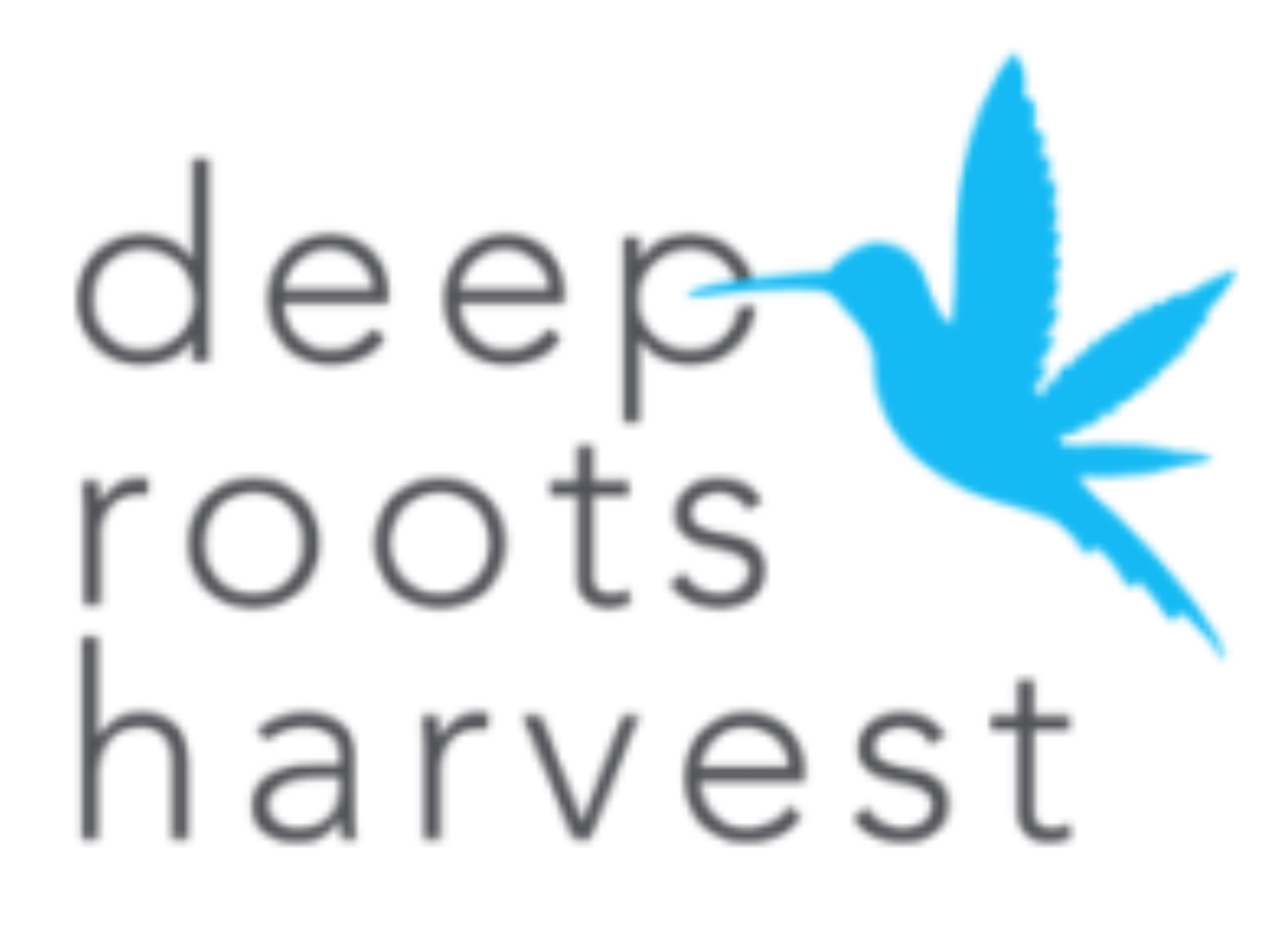 deep roots harvest wendover