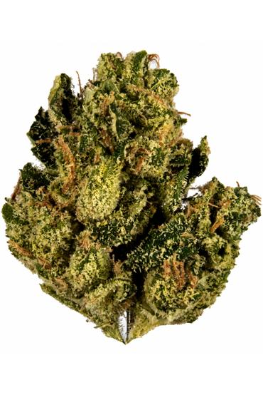 Platinum Desert Kush - Hybrid Cannabis Strain
