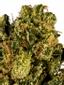Platinum Desert Kush Hybrid Cannabis Strain Thumbnail