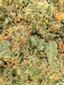 Desert Lime Hybrid Cannabis Strain Thumbnail