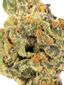 Dia De Los Muertos Hybrid Cannabis Strain Thumbnail
