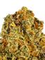 Diablo X Flo Hybrid Cannabis Strain Thumbnail