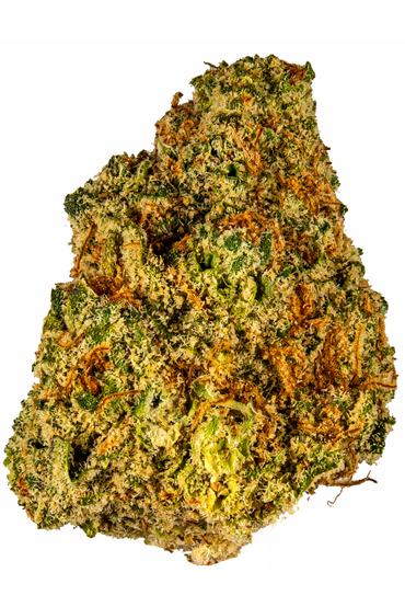 Diablo - Hybrid Cannabis Strain