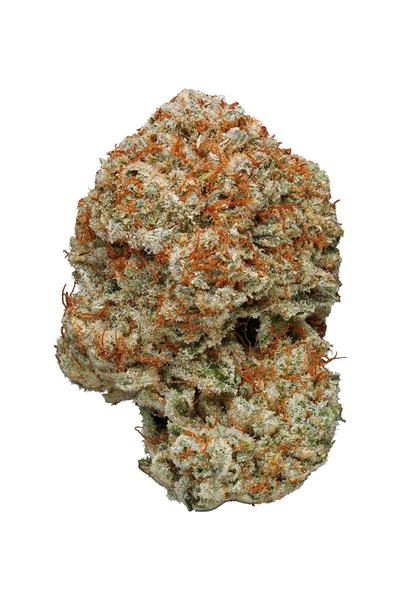 Diamond Cutter - Híbrida Cannabis Strain