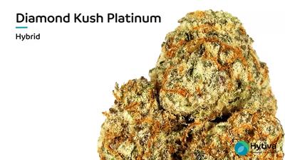 Diamond Kush Platinum - Hybrid Strain