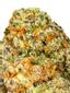 Diamond Kush Platinum Hybrid Cannabis Strain Thumbnail