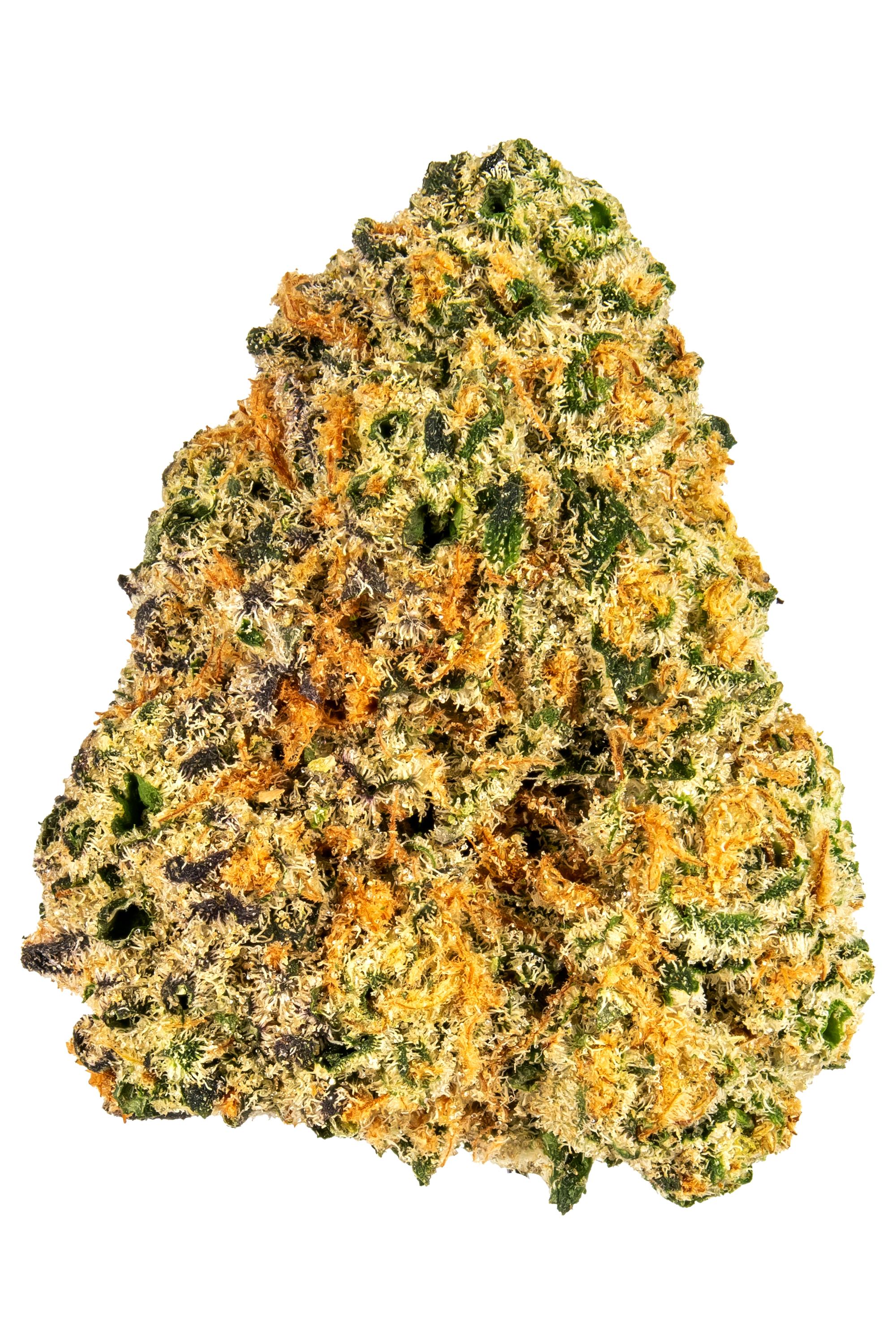 Diamond Master - Hybrid Cannabis Strain