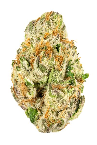 Diamond Punch - Híbrido Cannabis Strain