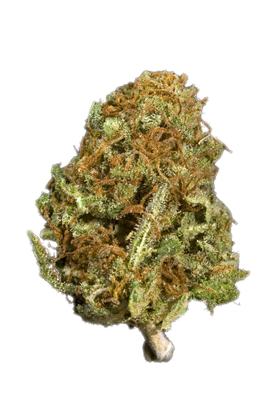 Digweed - Hybrid Cannabis Strain