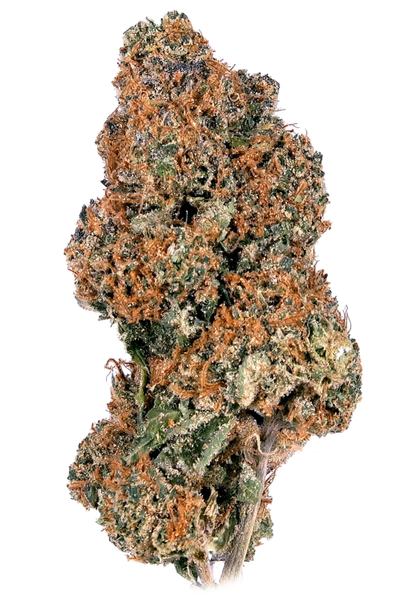 Dirk's OG - Híbrido Cannabis Strain