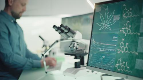 Timeline: Discovering the Endocannabinoid System