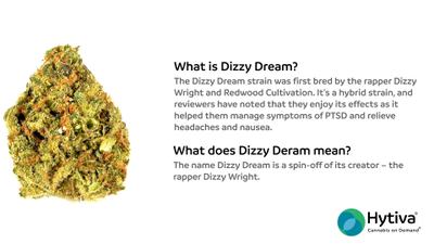 Dizzy Dream - Hybrid Strain