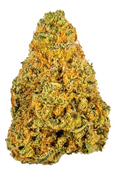 Dizzy Lato - Hybrid Cannabis Strain