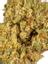 Do-Sa-Do Hybrid Cannabis Strain Thumbnail
