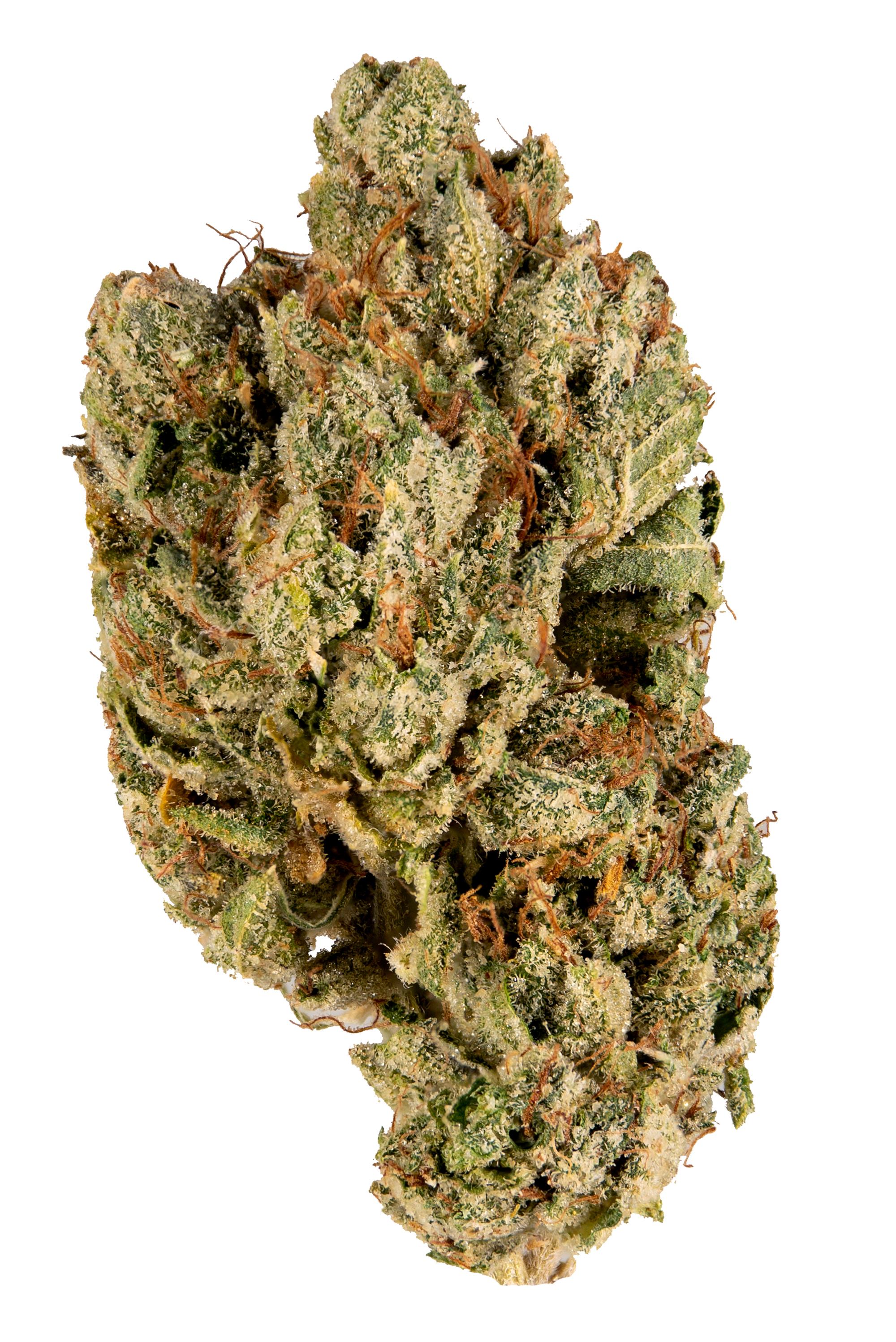 Do Si Dos - hybrid Cannabis Strain by Hytiva