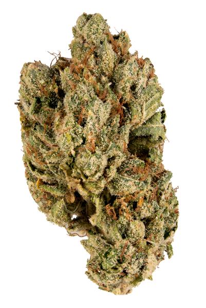 Do Si Dos - Hybride Cannabis Strain