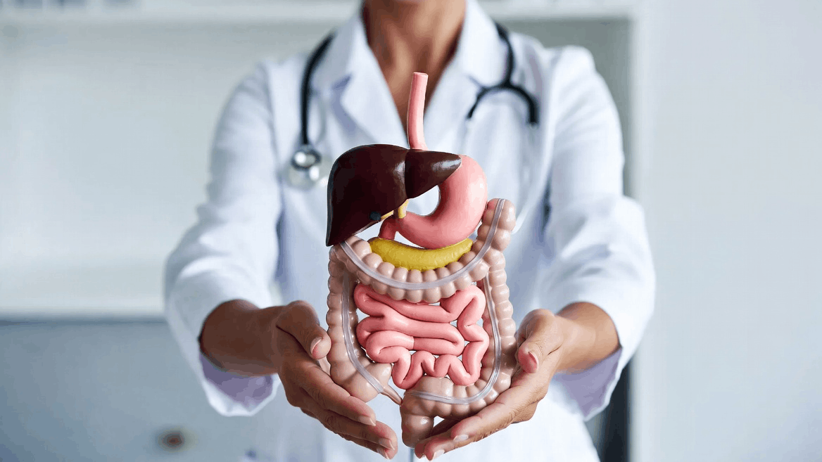 Cannabis and Gastrointestinal Health
