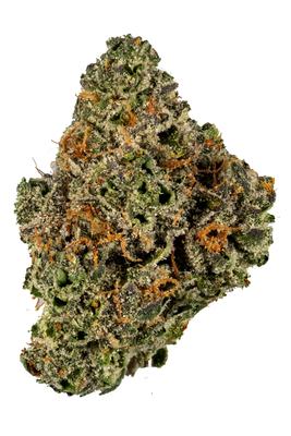 Dolato - Hybrid Cannabis Strain