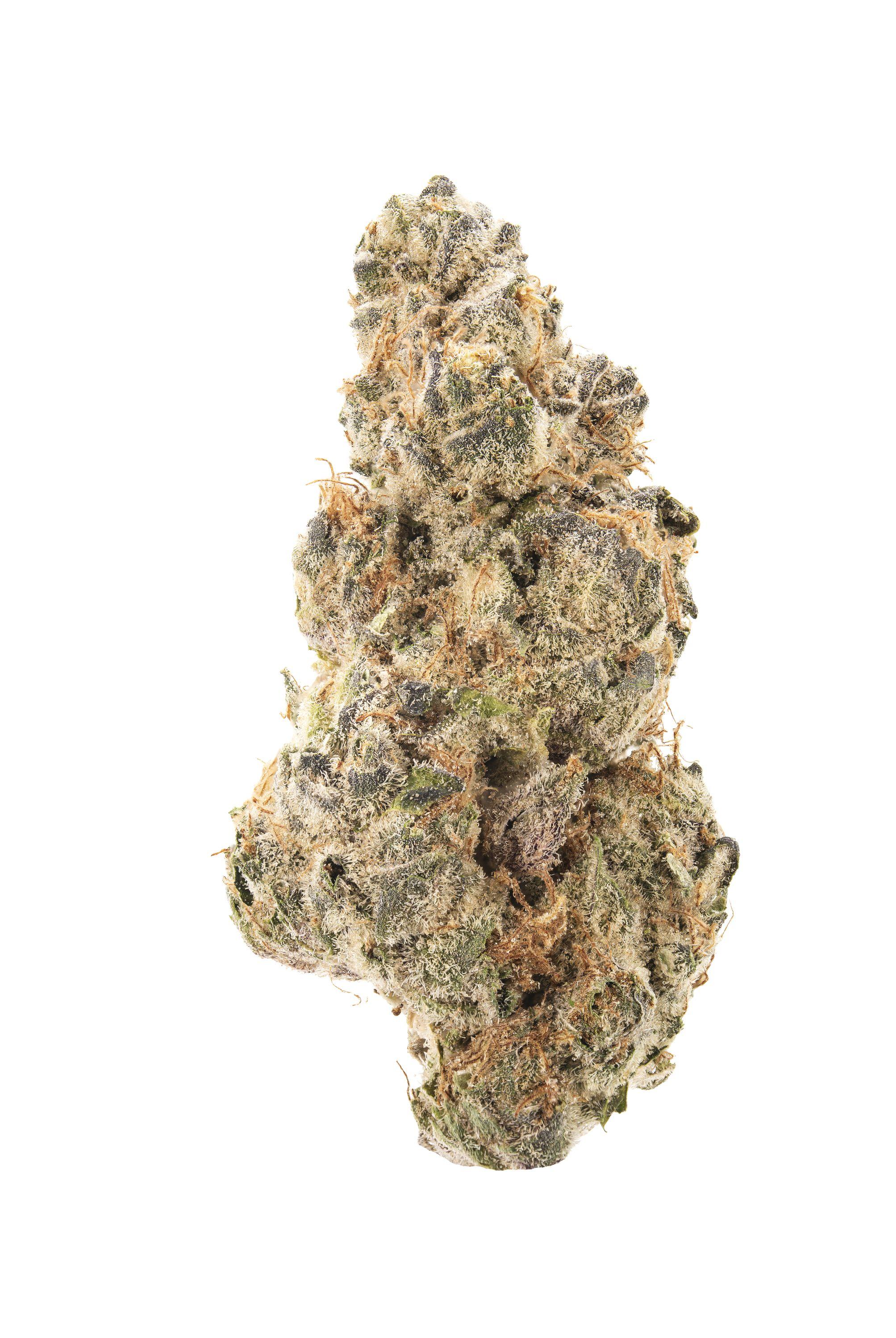 Donut Trip Cannabis Strain Bud