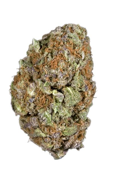 Dopium - 混合物 Cannabis Strain