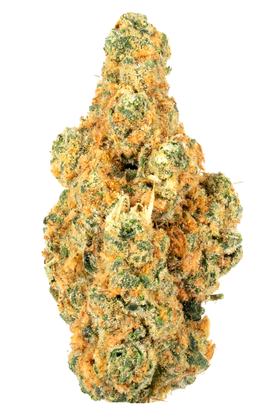 Dosi-G - Híbrida Cannabis Strain