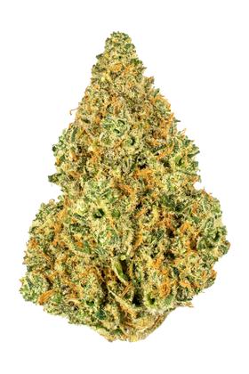 Dosi Woah - Híbrida Cannabis Strain