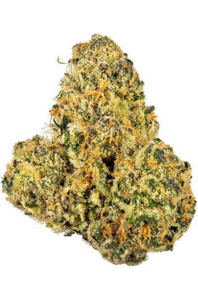 Dosilato #2 - Híbrida Cannabis Strain