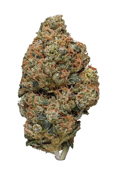 Double Diesel - Sativa Cannabis Strain