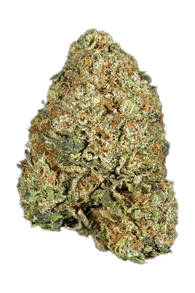 Double OG Kush - Hybrid Cannabis Strain