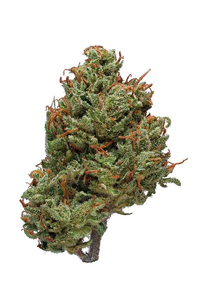Double OG - Hybride Cannabis Strain