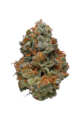 Dr. Who - Híbrida Cannabis Strain