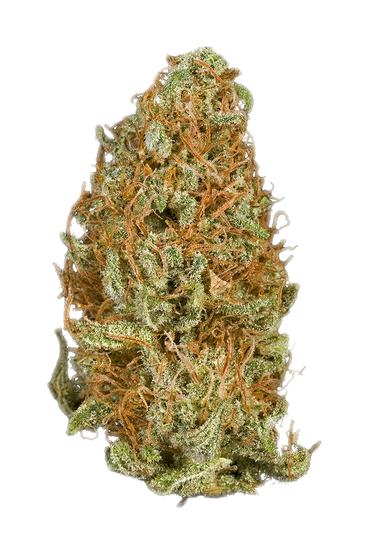 Dragon - Hybrid Cannabis Strain