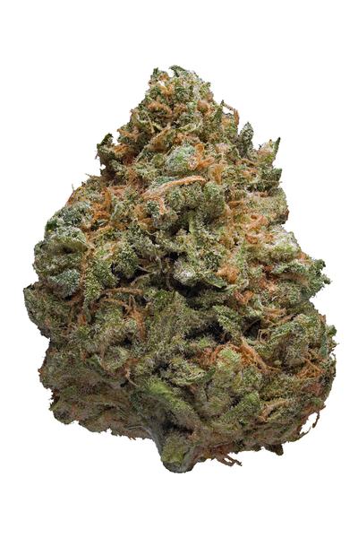 Dream Berry - Híbrida Cannabis Strain