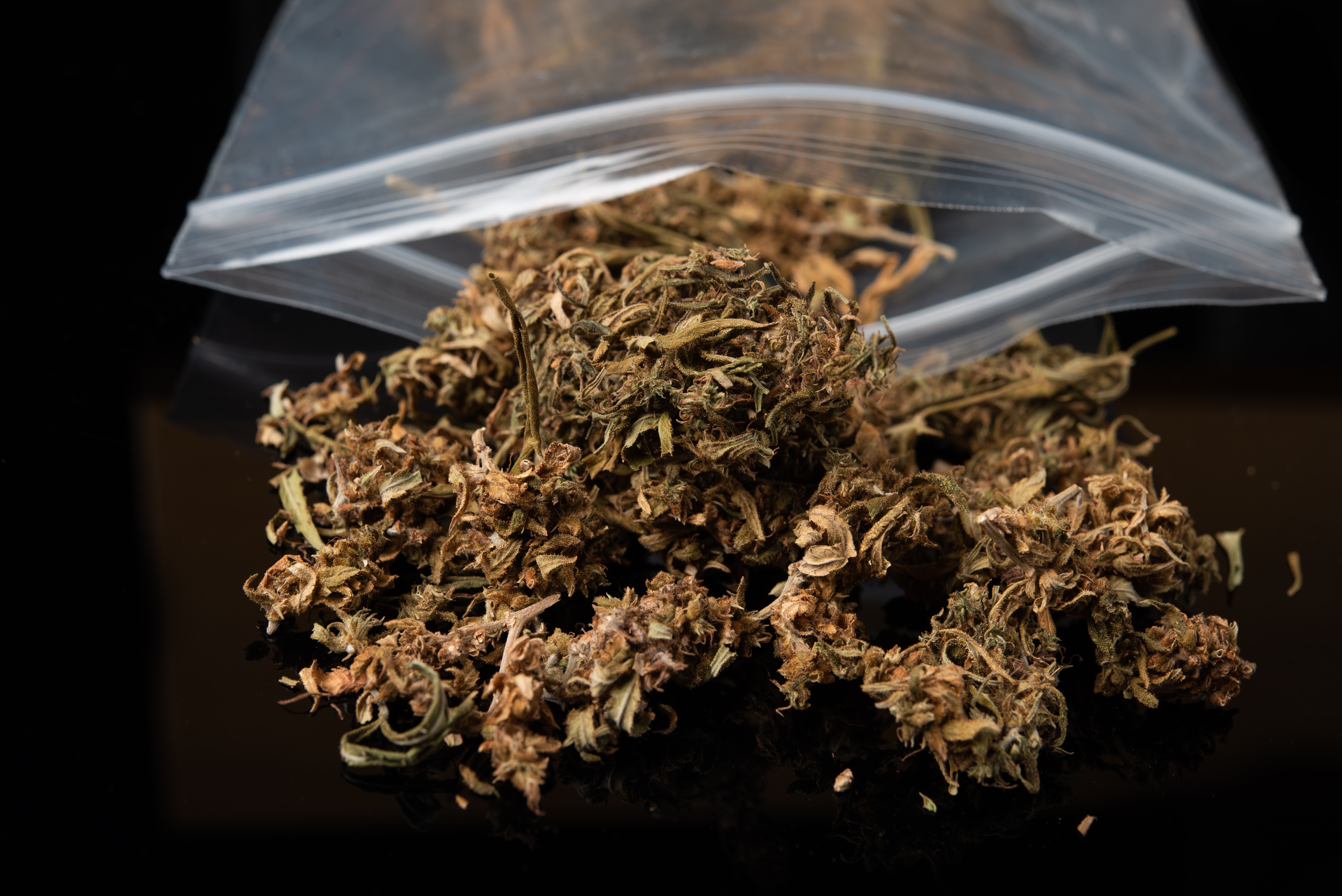 Synthetic Cannabinoids Banned in Oregon