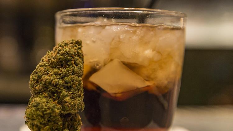 Tips on How to Set Up A Successful Cannabis Bar 
