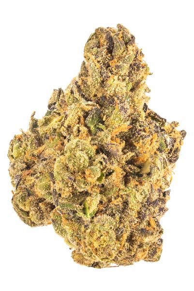 Drooler - Híbrido Cannabis Strain