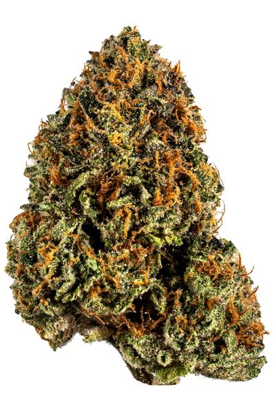 Durban Flame - Hybrid Cannabis Strain