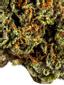 Durban Flame Hybrid Cannabis Strain Thumbnail